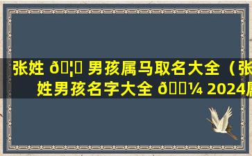 张姓 🦄 男孩属马取名大全（张姓男孩名字大全 🐼 2024属龙）